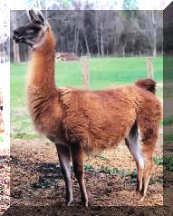 EVE Full body fixed 2-15-03